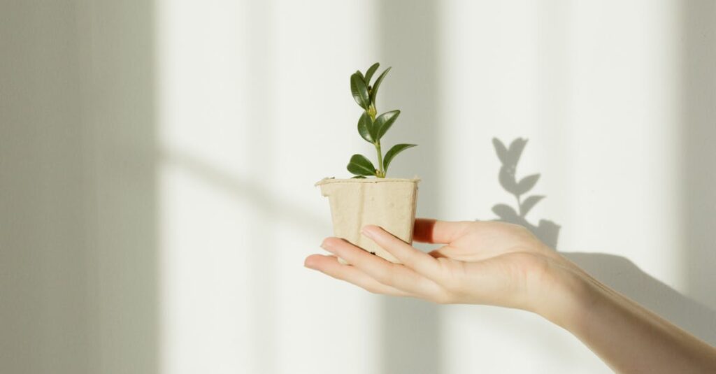A hand gently holds a small potted plant with a shadow on the wall behind.