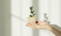 Five Key Changes in the New ISO 14001:2026 You Need to Know Now